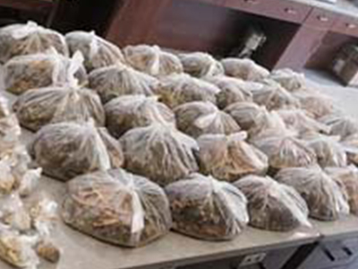 郑州治疗肿瘤比较好的医馆