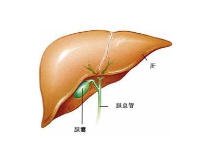 胆囊癌的早期症状